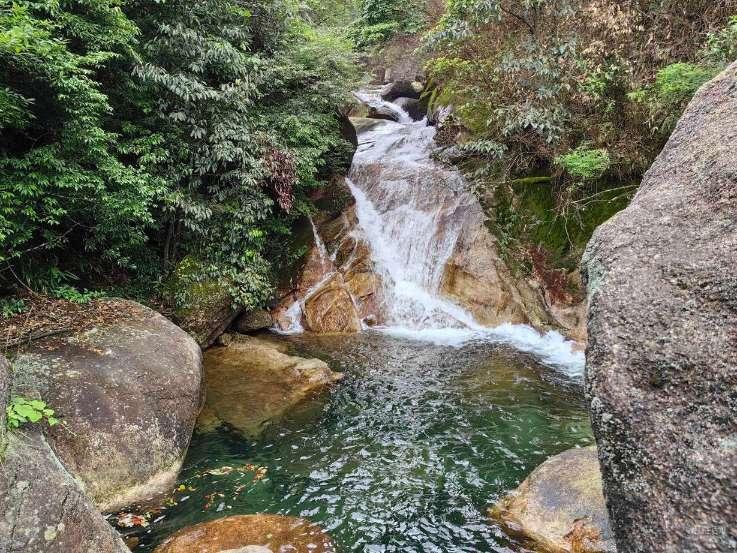 中医专长医师几年后可以考执业游戏画面